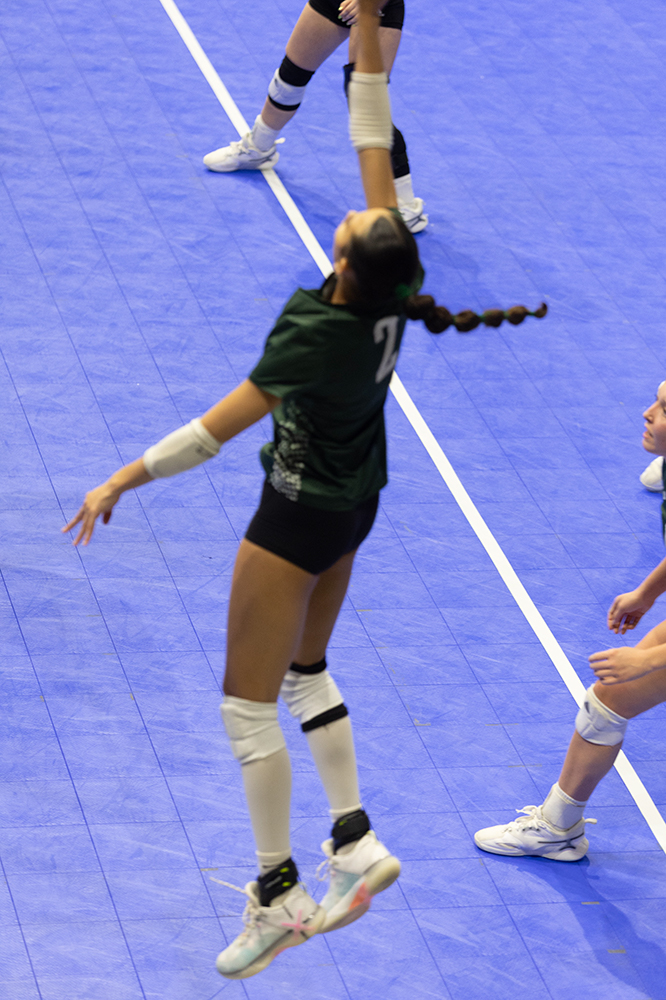 %_tempFileName1M6A8755%