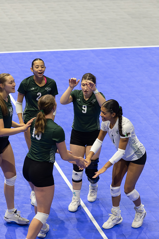 %_tempFileName1M6A8828%