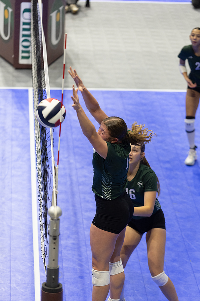 %_tempFileName1M6A8843%