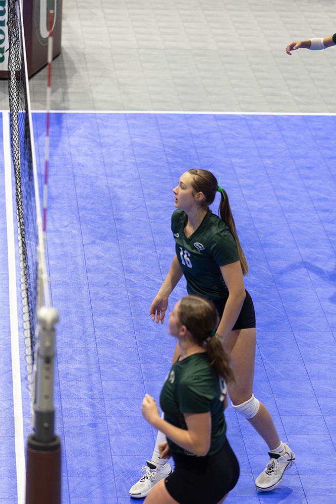 %_tempFileName1M6A8855%