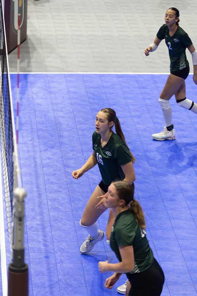 %_tempFileName1M6A8861%