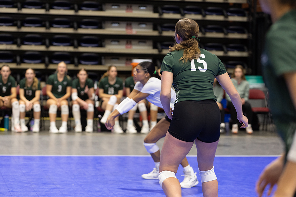 %_tempFileName1M6A8863%