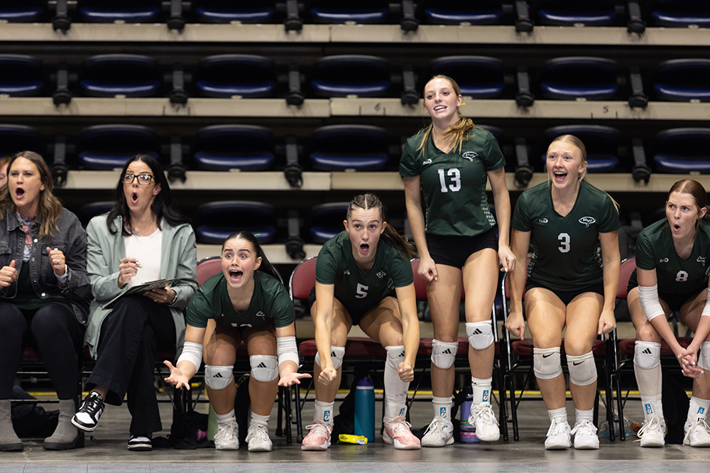 %_tempFileName1M6A8868%