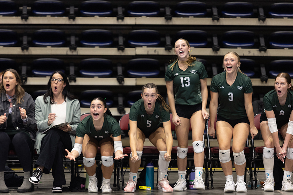 %_tempFileName1M6A8869%