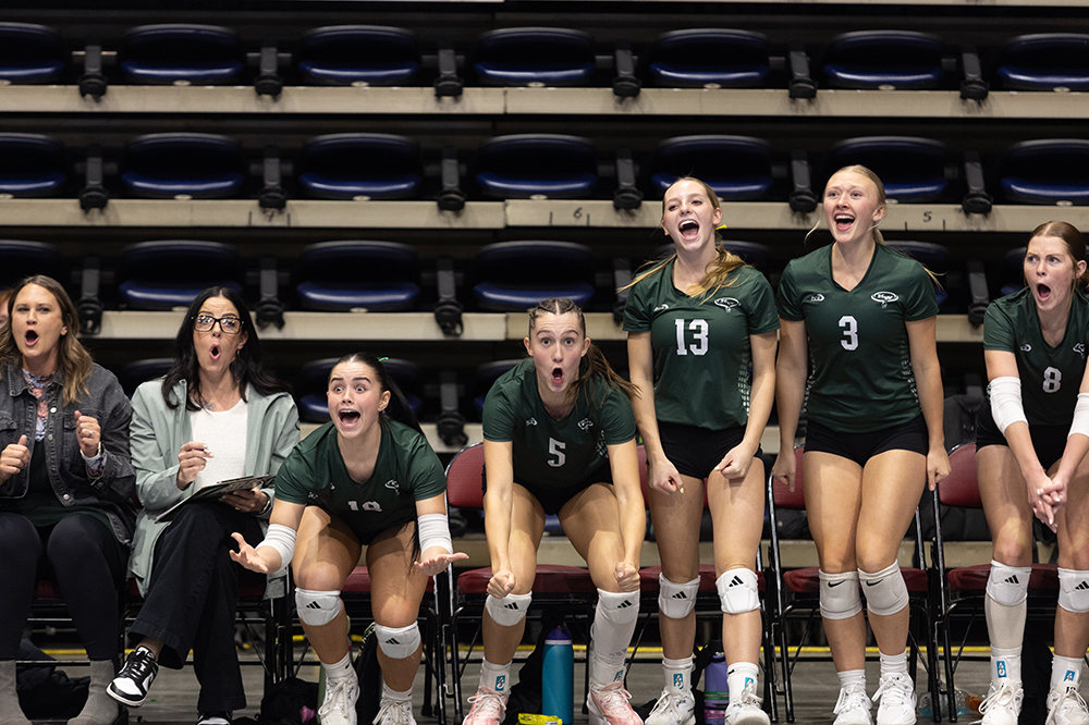 %_tempFileName1M6A8871%