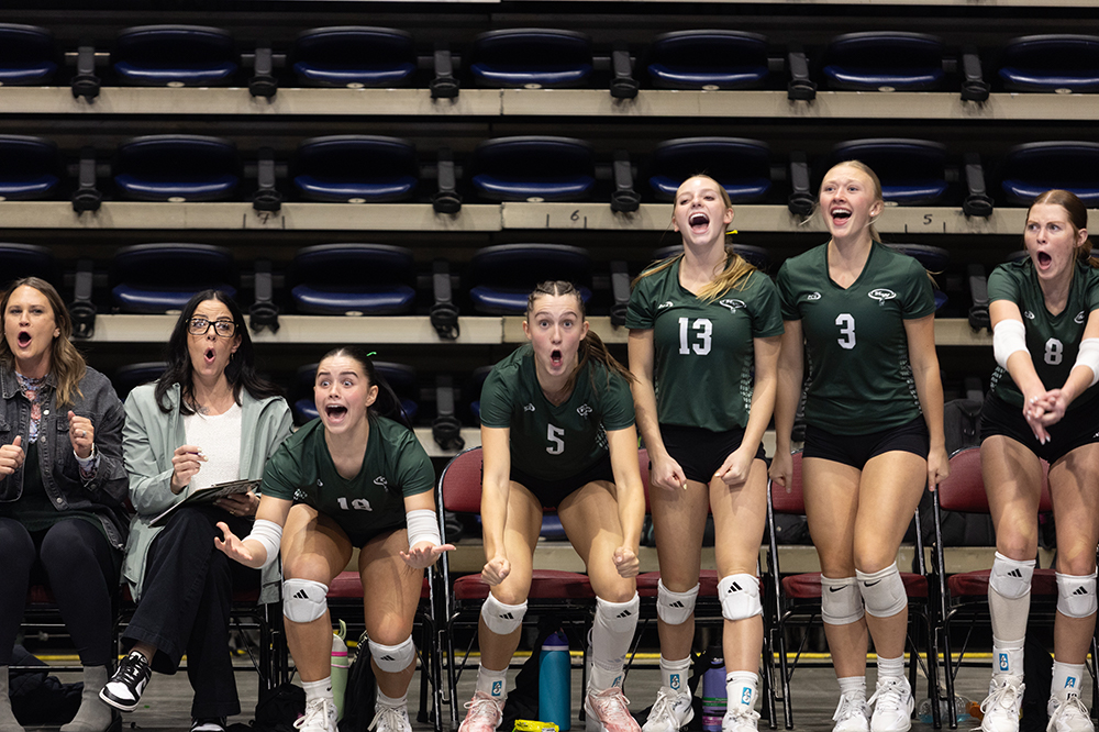 %_tempFileName1M6A8872%