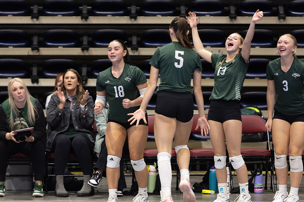 %_tempFileName1M6A8906%