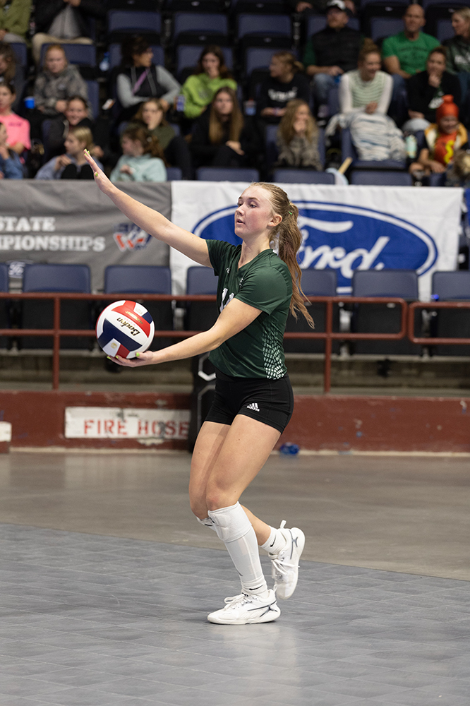 %_tempFileName1M6A8911%