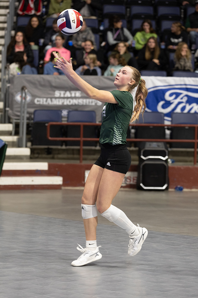 %_tempFileName1M6A8915%