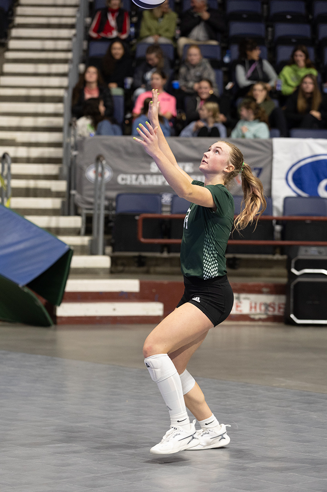 %_tempFileName1M6A8917%