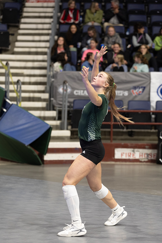 %_tempFileName1M6A8919%