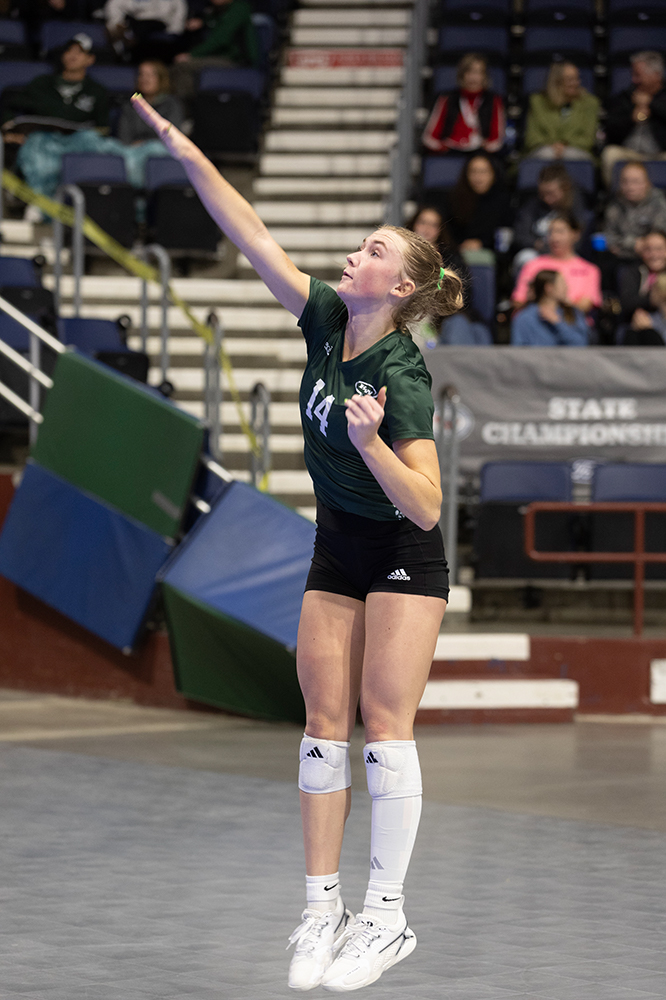 %_tempFileName1M6A8924%