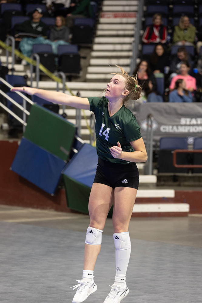 %_tempFileName1M6A8925%