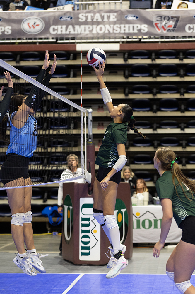 %_tempFileName1M6A8939%