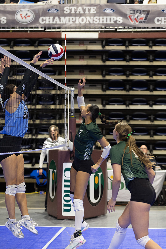 %_tempFileName1M6A8941%