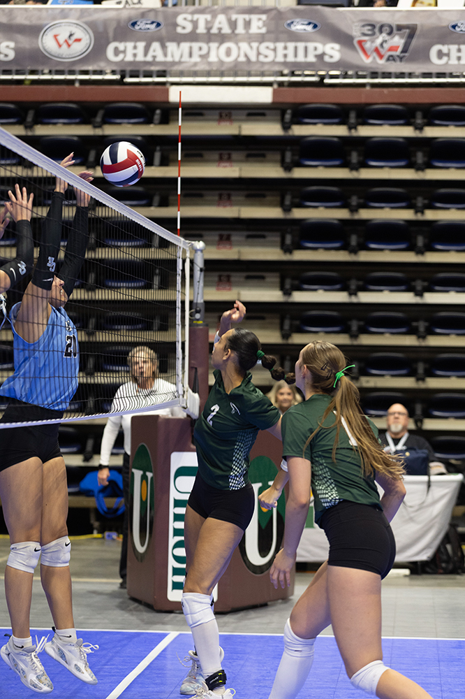 %_tempFileName1M6A8942%