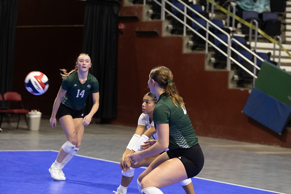 %_tempFileName1M6A8960%