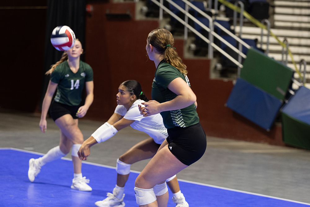 %_tempFileName1M6A8963%