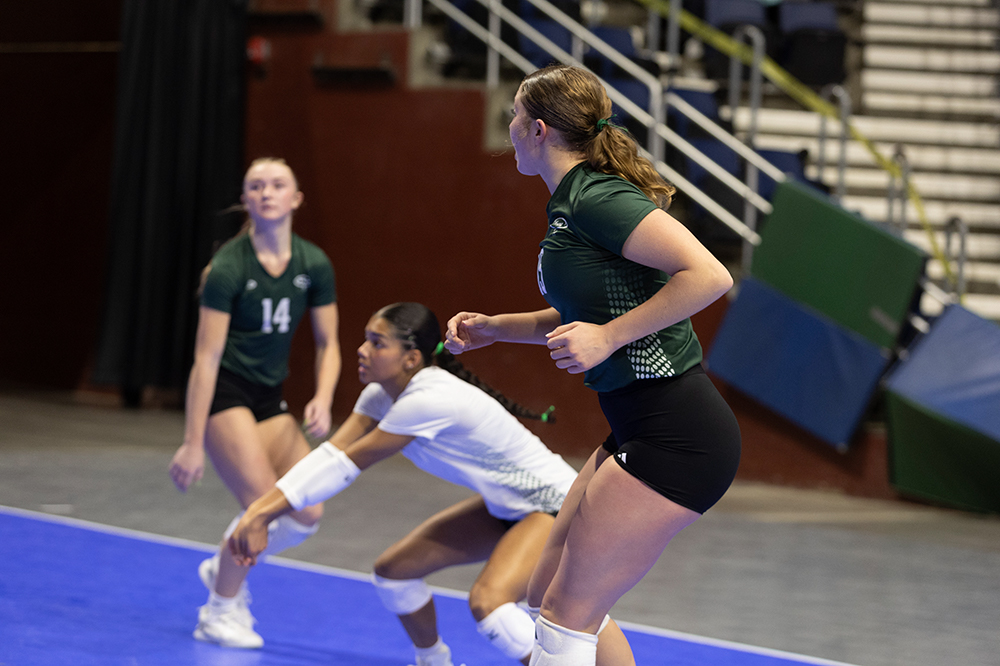 %_tempFileName1M6A8965%