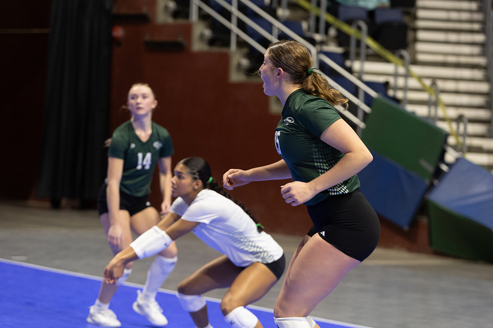 %_tempFileName1M6A8966%