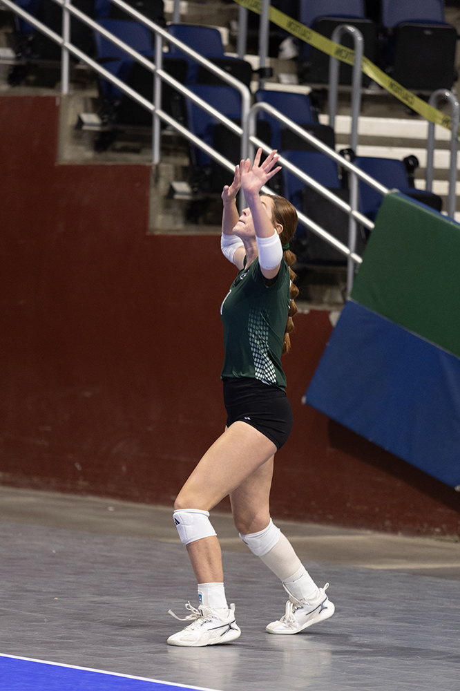 %_tempFileName1M6A8990%