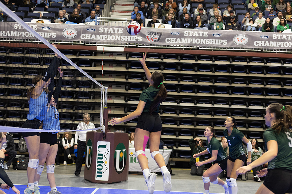 %_tempFileName1M6A9088%