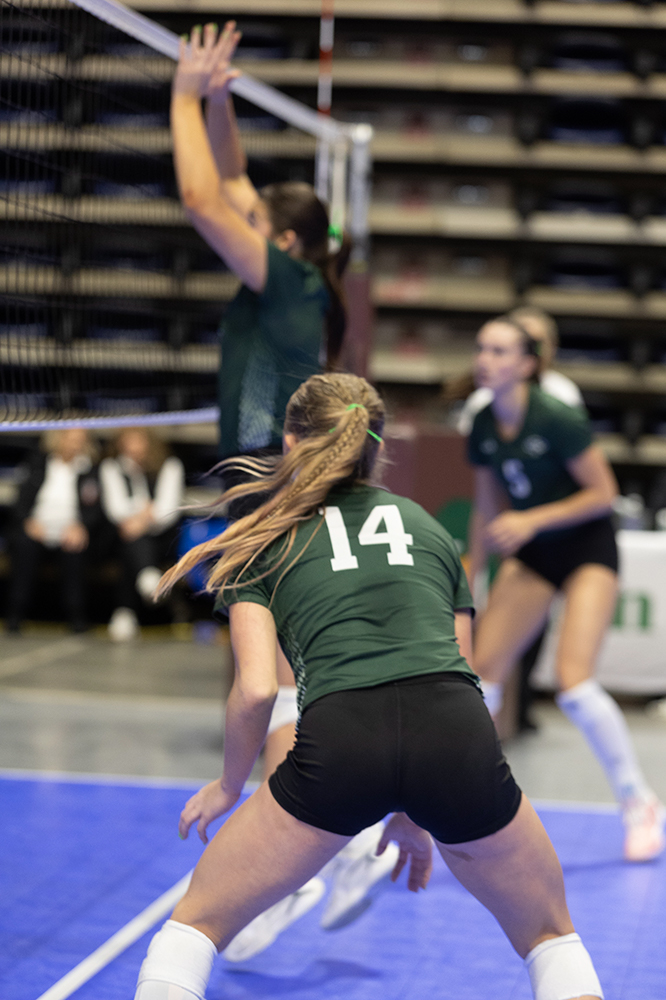 %_tempFileName1M6A9165%