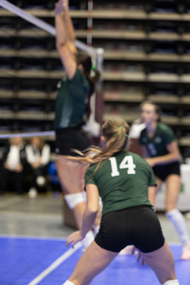 %_tempFileName1M6A9166%