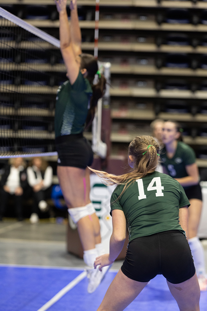 %_tempFileName1M6A9167%