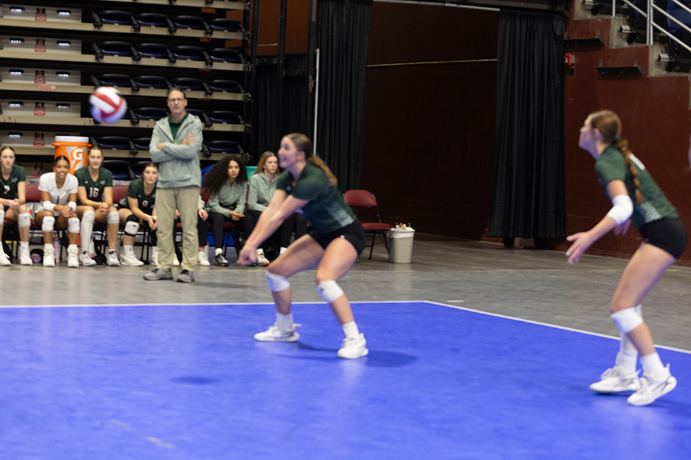 %_tempFileName1M6A9184%