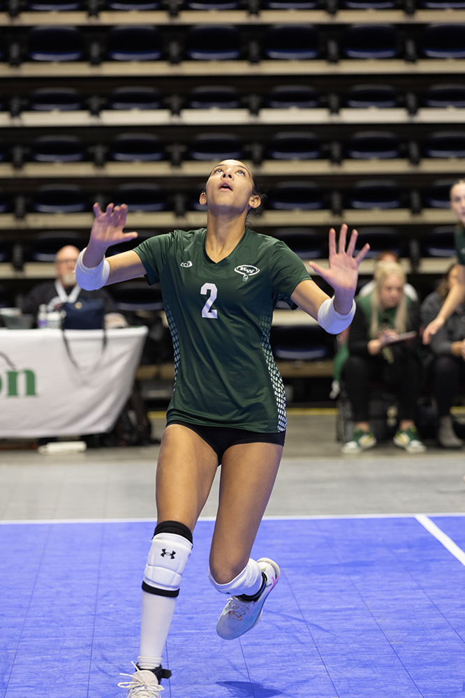 %_tempFileName1M6A9191%