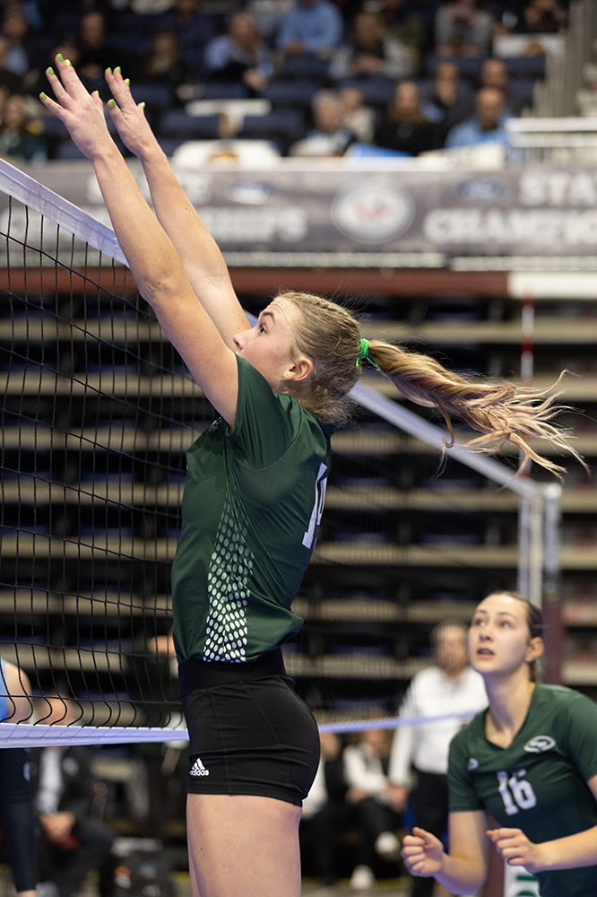 %_tempFileName1M6A9241%