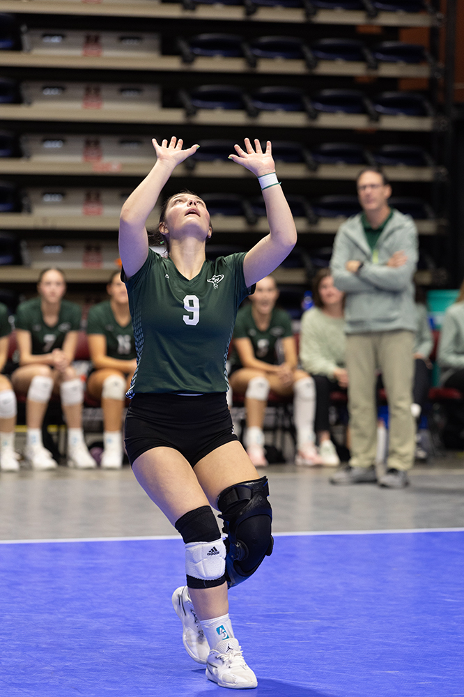 %_tempFileName1M6A9275%