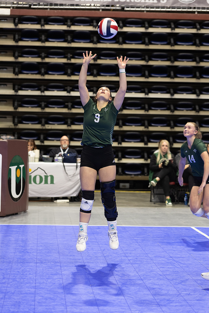 %_tempFileName1M6A9313%