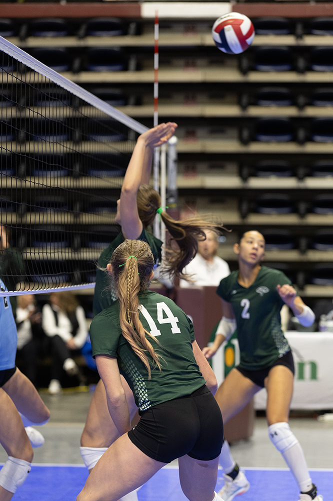 %_tempFileName1M6A9334%