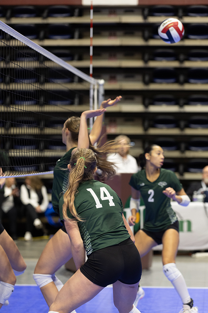 %_tempFileName1M6A9335%