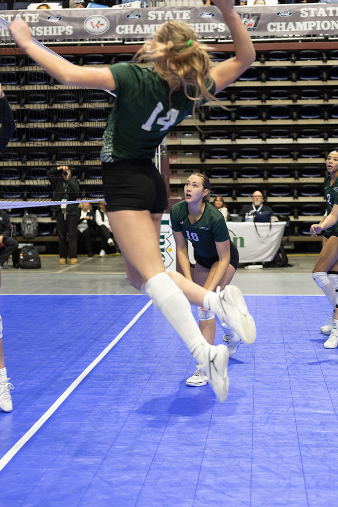 %_tempFileName1M6A9346%