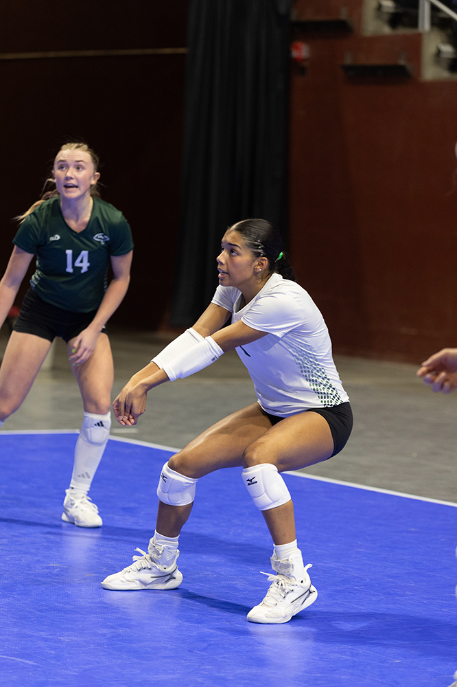 %_tempFileName1M6A9392%