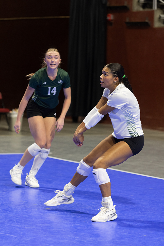 %_tempFileName1M6A9394%