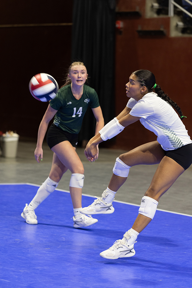 %_tempFileName1M6A9396%