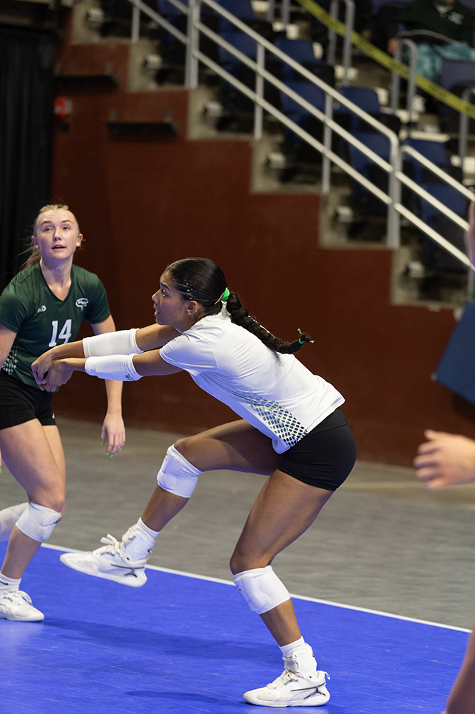 %_tempFileName1M6A9399%