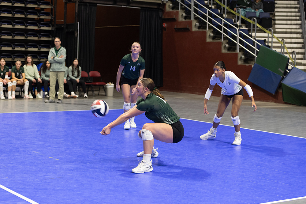 %_tempFileName1M6A9403%