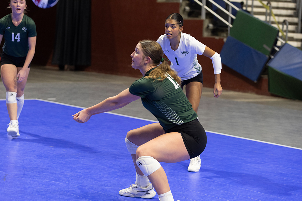 %_tempFileName1M6A9409%