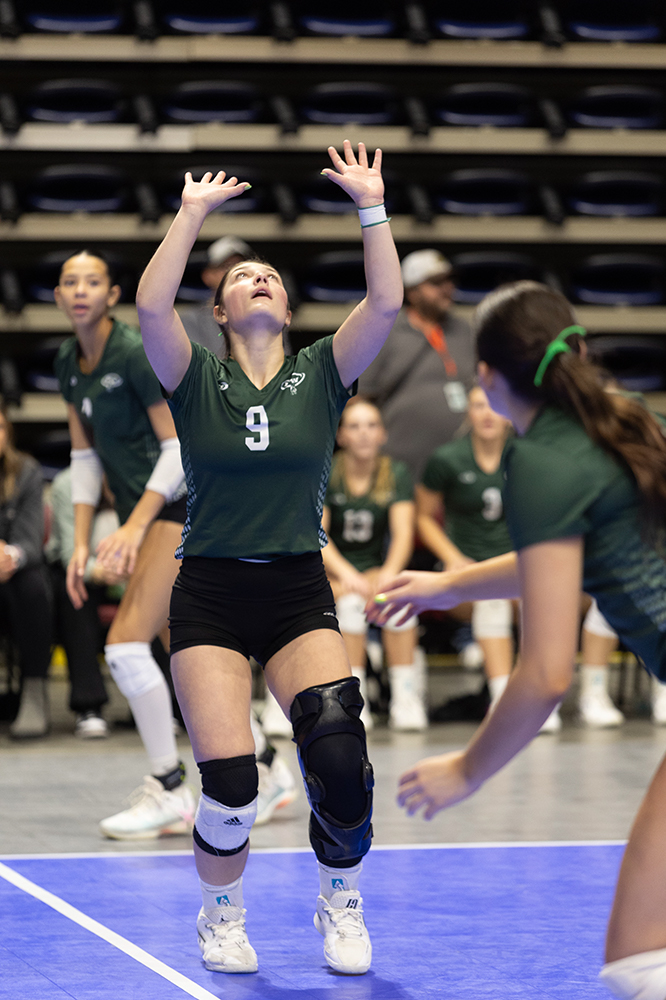 %_tempFileName1M6A9493%