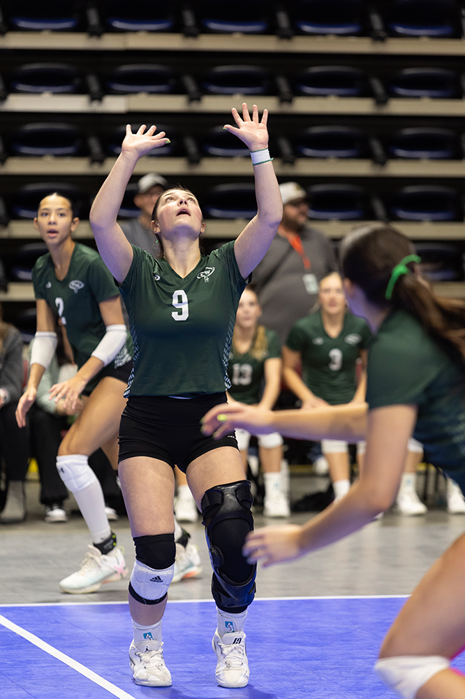 %_tempFileName1M6A9494%