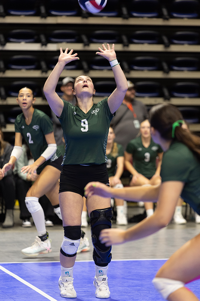 %_tempFileName1M6A9495%