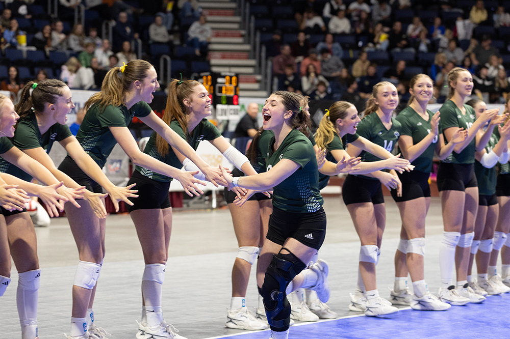 %_tempFileName1M6A2528%