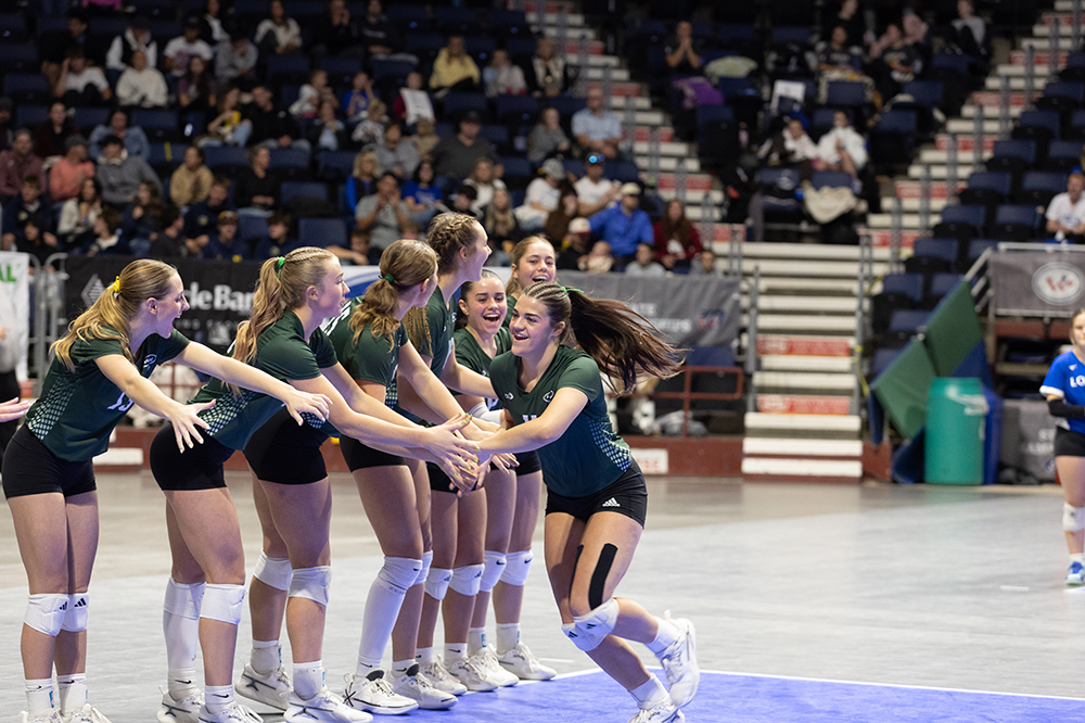 %_tempFileName1M6A2531%