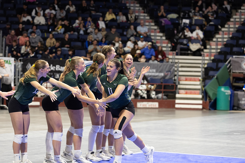 %_tempFileName1M6A2533%