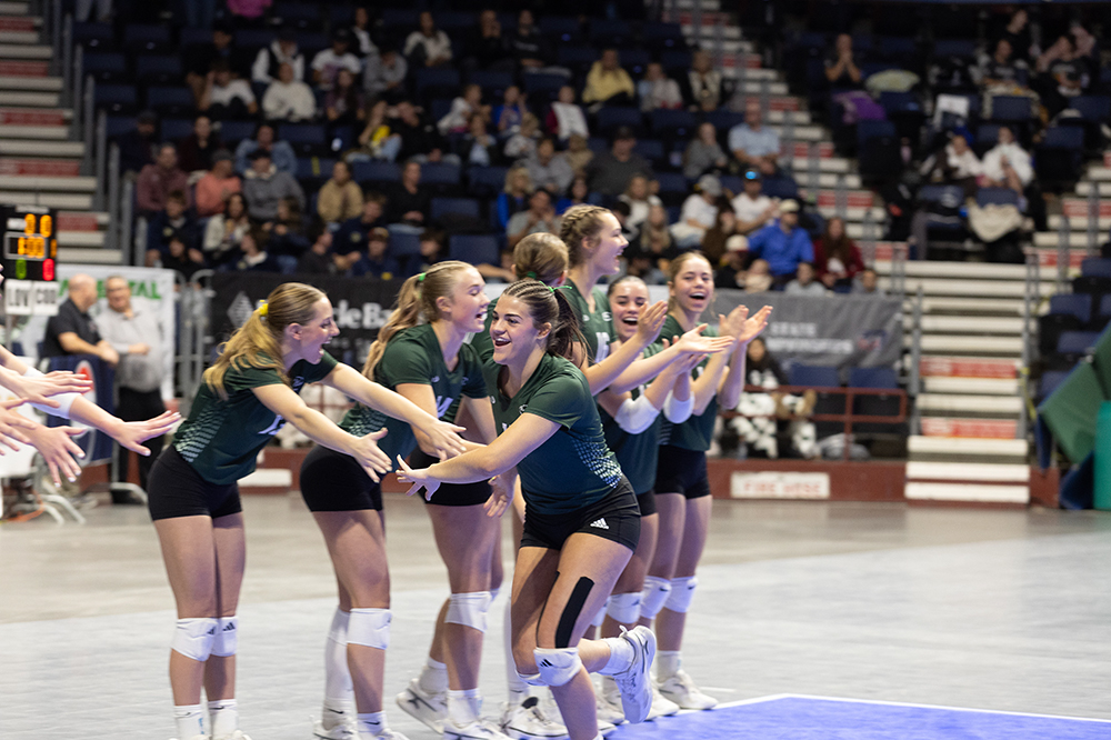 %_tempFileName1M6A2535%